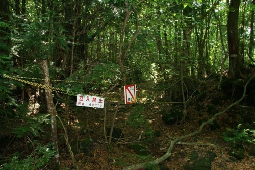 Наша планета: Лес самоубийц. Аокигахара.