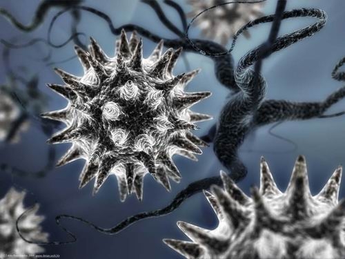Наша планета: Вирус скорее жив, чем мёртв.